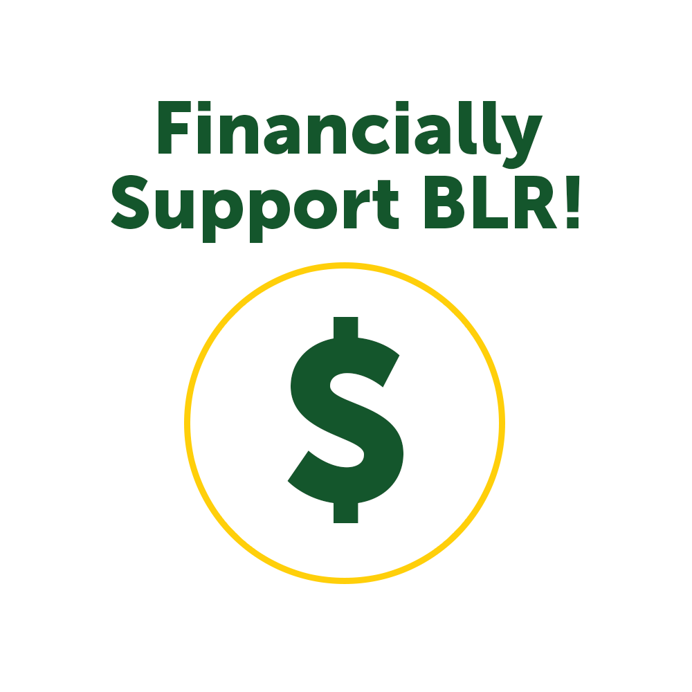 Financially Support BLR